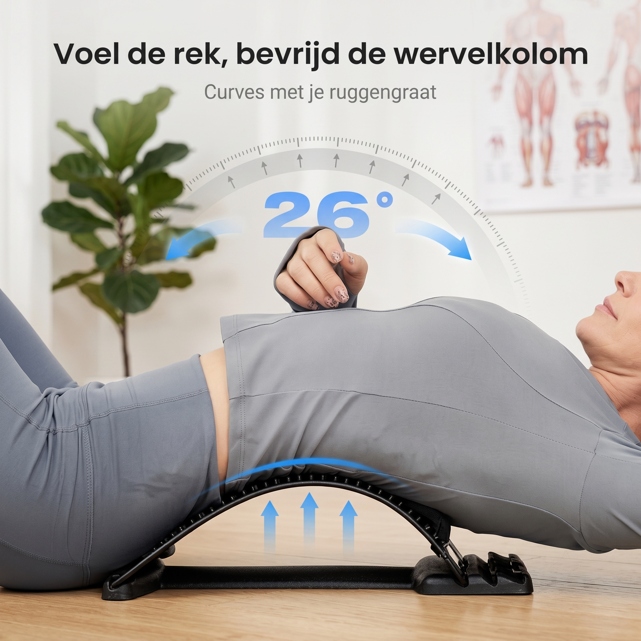 Calviro BackRelief™ Rugstretcher